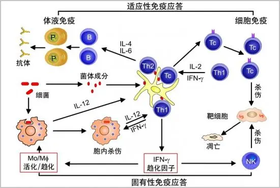 图片72.png